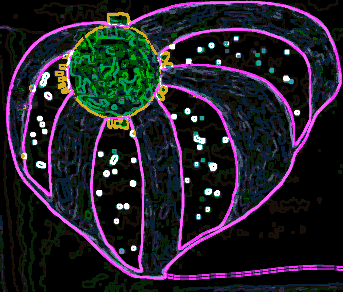 A green sun with purple rays